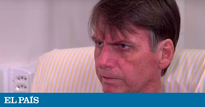 Ibope Bolsonaro Estanca Em 28 E Haddad Cresce E Vai A 22 Brasil