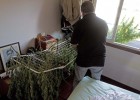Táctica para el consumo legal de droga