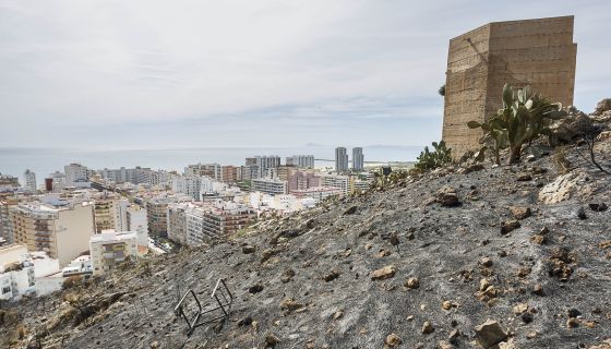 FORESTALES VALENCIA forestales valencia: