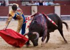 José Tomás, más cerca de Sevilla