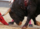 Meritorio Fandiño