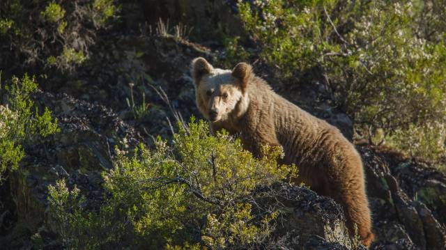 La asfixia de la naturaleza