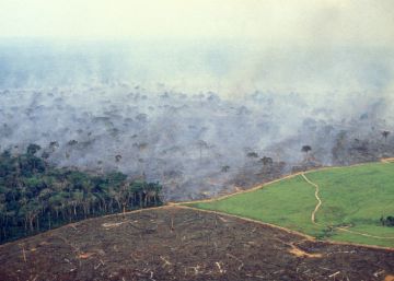 ¿Adiós naturaleza salvaje?