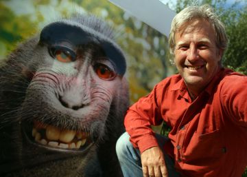 Harry el Sucio se topa con el macaco Naruto