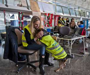 La agencia eDreams anuncia acciones legales contra Spanair