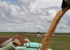 La especulación se ceba con los alimentos