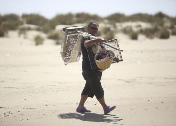 Coquineros de Doñana: de la ilegalidad al supermercado