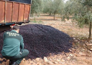 EE UU endurece los aranceles para la importación de aceituna negra española