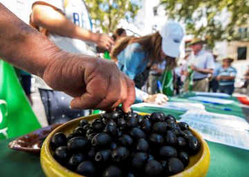 Estados Unidos ratifica los aranceles de Trump a la aceituna española