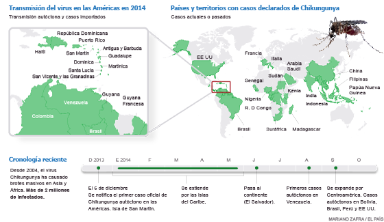 Chikungunya O Mosquito Que Faz Você Se Curvar Ciência El PaÍs Brasil