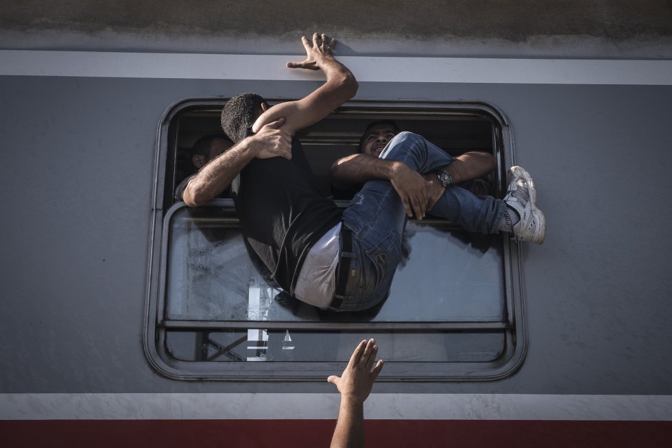 Resultado de imagem para 2016 world press photo