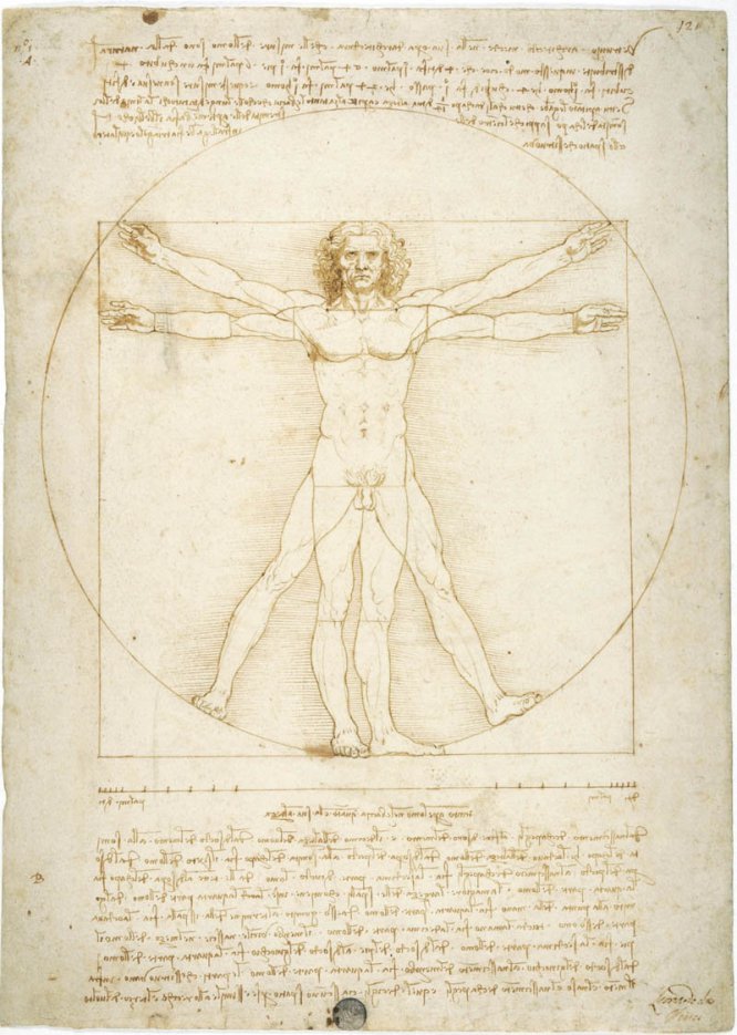'Las proporciones del cuerpo humano según Vitruvio' ('El hombre vitruviano'). Galerías de la Academia, Gabinete de Diseños e Impresos. Venecia