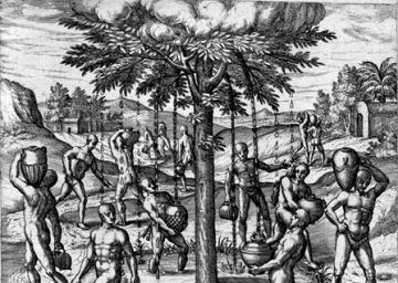 Colón también descubrió el cambio climático