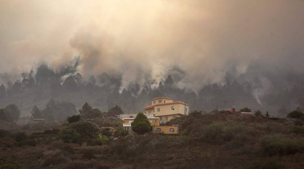 España: turista "fue al baño" en un bosque, quemó el papel higiénico y provocó incendio