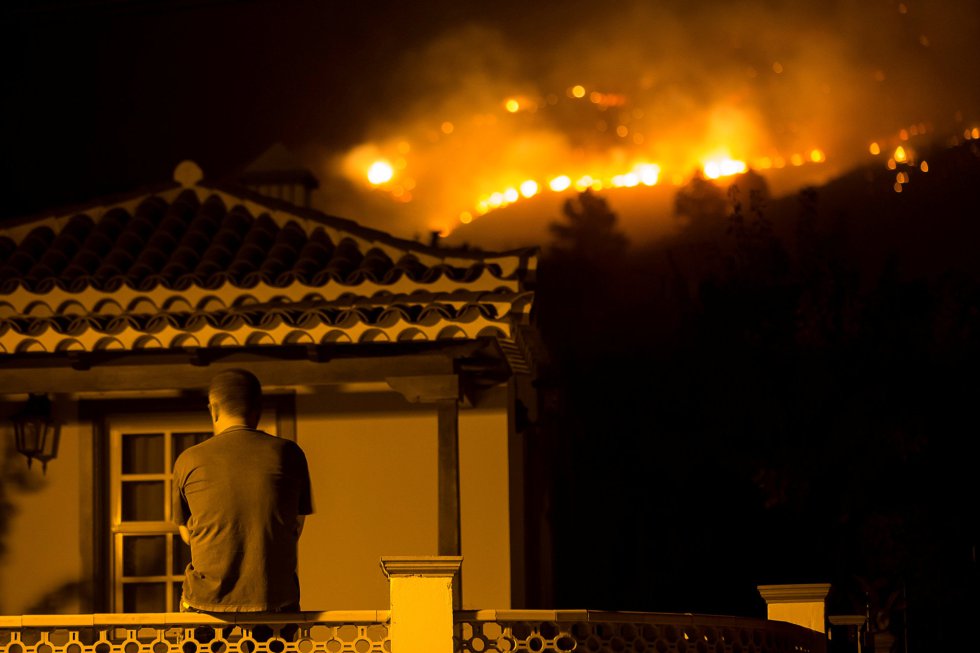 España: turista "fue al baño" en un bosque, quemó el papel higiénico y provocó incendio