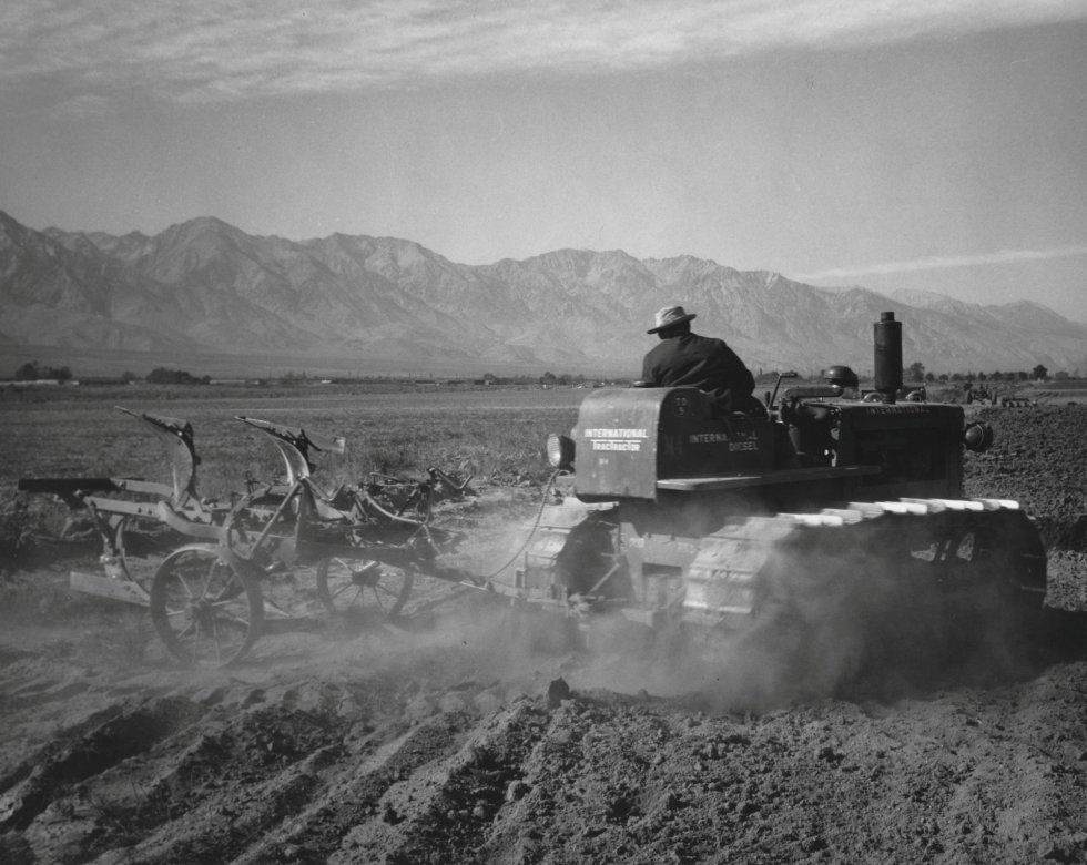 Un trabajador conduce un tractor en el campo del Centro de Reubicación de Guerra, 'Manzanar', en 1943 en California.