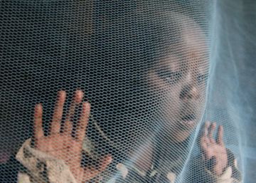 La lucha contra la malaria se estanca por falta de dinero