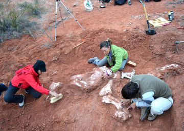 El hallazgo de un fósil en Argentina adelanta en 30 millones de años el origen del gigantismo