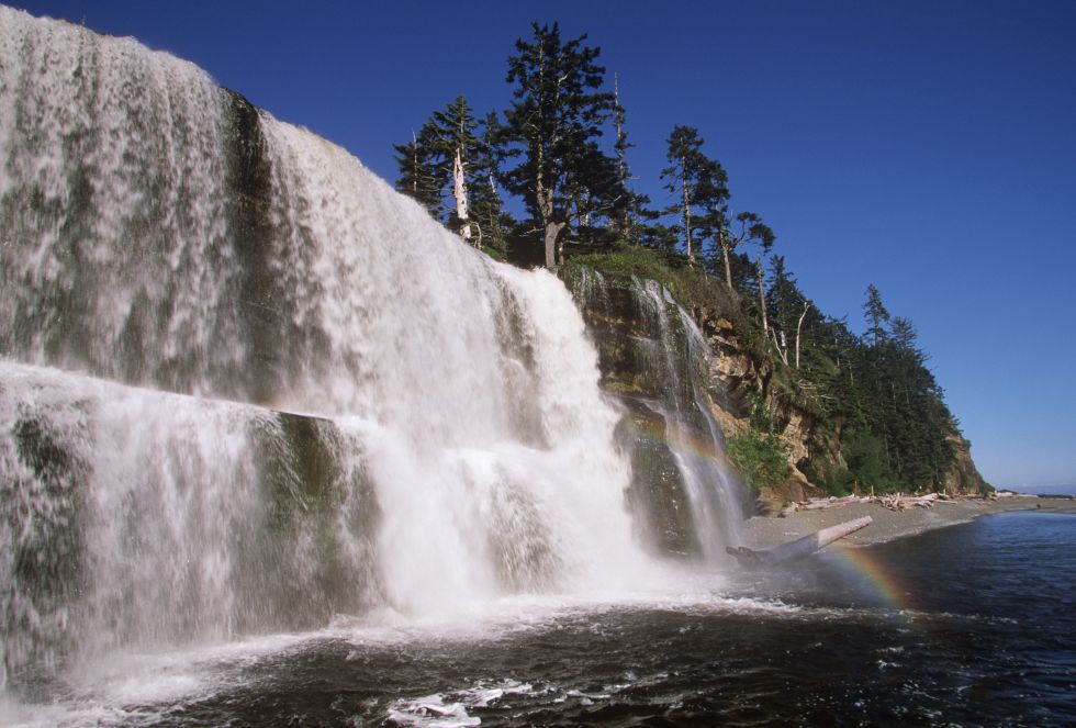 saltos saltos