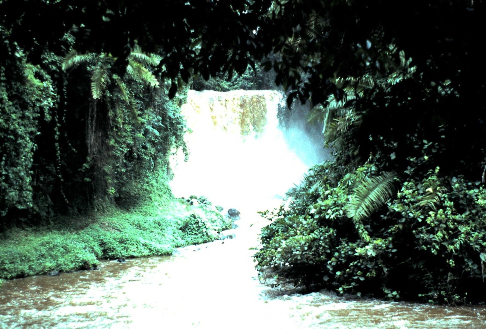 los saltos mas increibles los saltos mas increibles