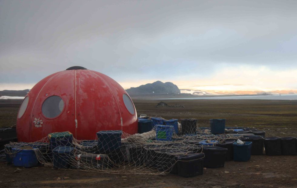 archipielago Shetland del Sur