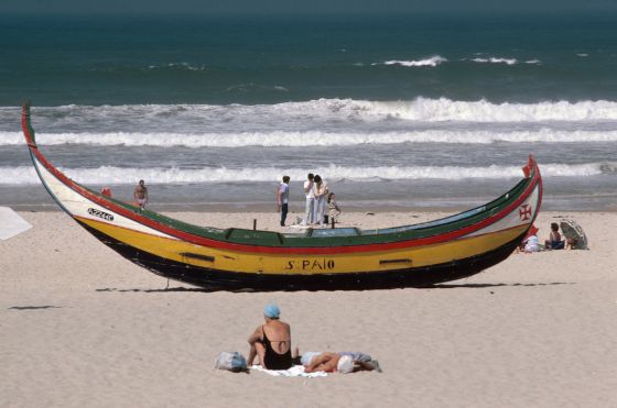 Caballitos de mar en Costa Nova - El País.com (España)