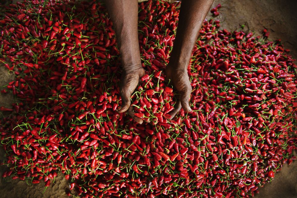 Ruta para ‘foodies’ intrépidos