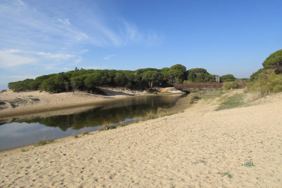 Caño de la Culata (Cartaya, Huelva)