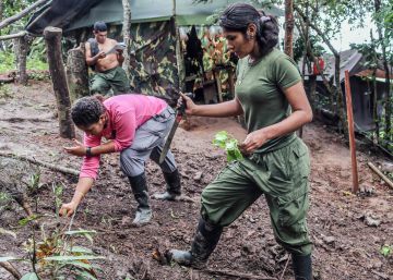 Las FARC se niegan a replegarse a las zonas de desarme si hay riesgo de captura