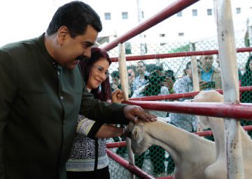 Un vídeo que muestra a Maduro hablando a unas vacas levanta polémica