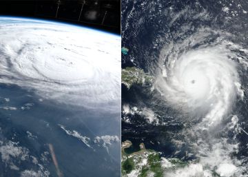 En la vida real, Irma y Harvey son una tierna pareja de ancianos enamorados