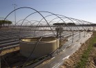 Grandes supermercados rechazan el ‘robo’ del agua en Doñana