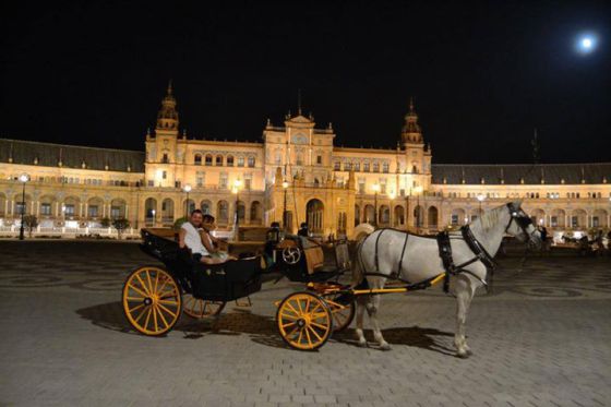 EL PASEO SEVILLA el paseo sevilla: