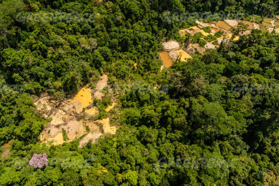 La Amazonia No Es Nuestra Internacional El Pais la amazonia no es nuestra