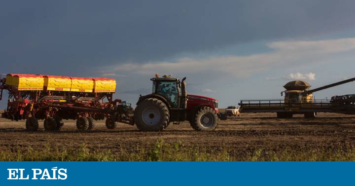 Brasilé um dos cinco países do mundo que mais vende terra para estrangeiros Atualidade EL Wakan Wood Artesanato Xamânico ~ Brasilé um dos cinco países do mundo que mais vende terra para estrangeiros Atualidade EL