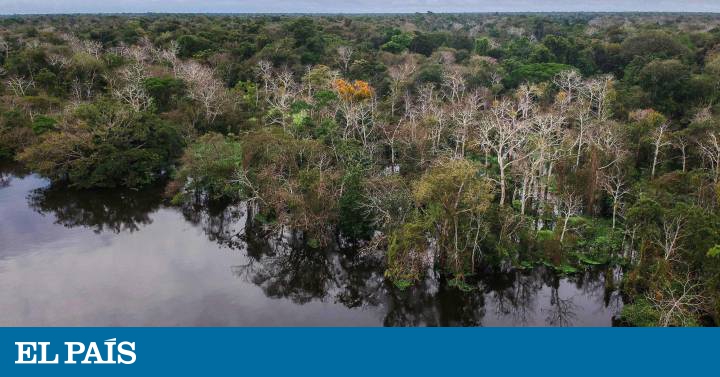 Fusão do Ministério do Meio Ambiente ameaça agricultura brasileira