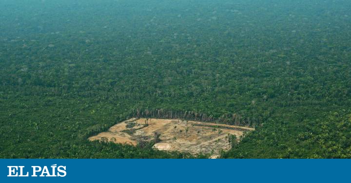 Bolsonaro quer entregar a Amazônia