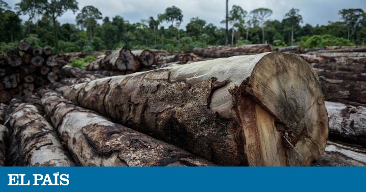 A esquerda que não sabe quem é