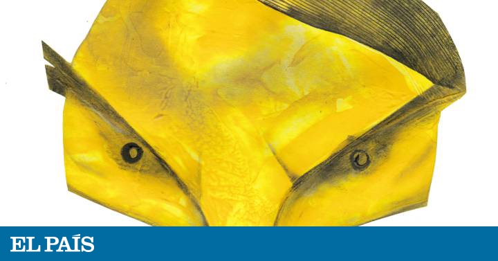 Governo Bolsonaro mantém relação crispada com a imprensa