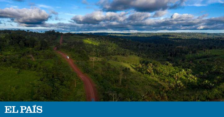 “Parceria Público-Privada” para o crime ambiental