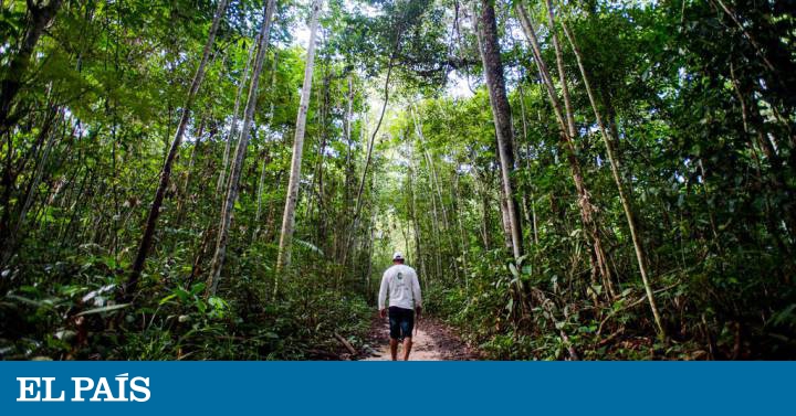 Por uma reserva legal justa, protetora e produtiva