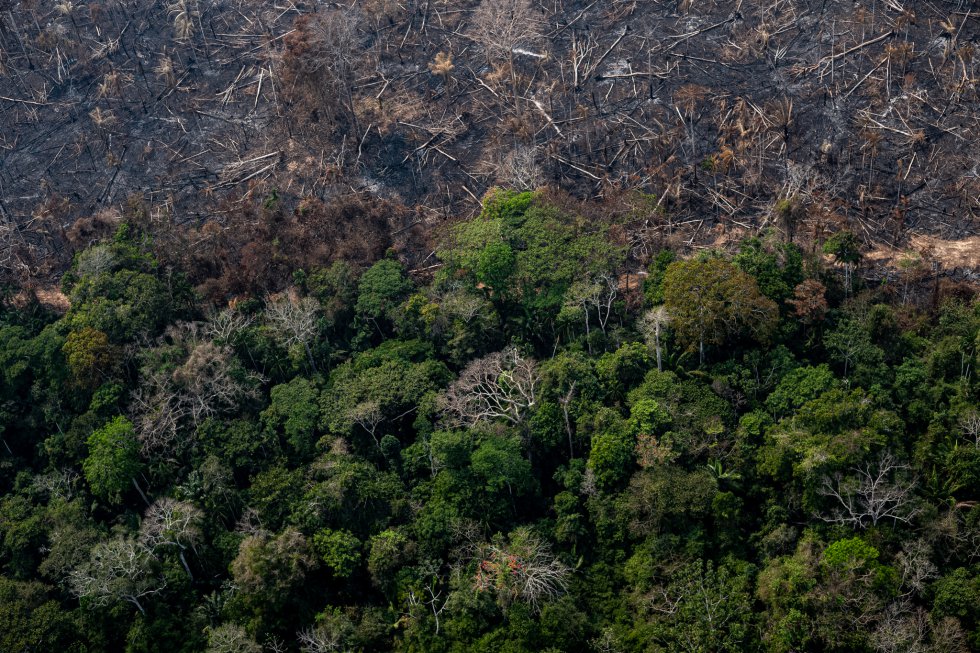 No Estado do Amazonas, na fronteira com o Acre, o fogo também consumiu parte da área do Projeto Floresta Estadual do Antimary, a primeira floresta pública estadual em operação, onde ocorrem atividades de manejo sustentável. A pouca chuva que ocorreu na ultima semana no Acre ajudou a impedir que mais floresta natural fosse consumida pelo fogo.