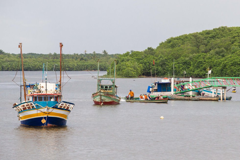 O Parque Nacional Marítimo de Abrolhos inclui áreas de conservação de mar e da costa. Protege, por exemplo, a Reserva Extrativista (Resex) de Canavieiras, que engloba uma das maiores áreas de manguezal da Bahia.