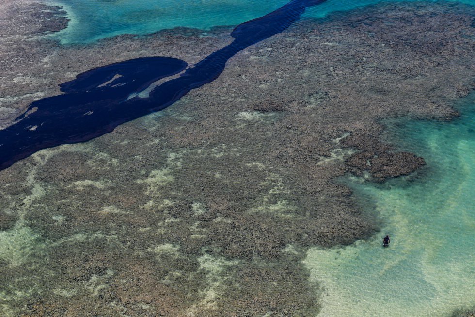 No litoral norte de Alagoas, na praia de Peroba, que faz parte da deslumbrante Maragogi, o óleo mancha a beleza dos recifes.