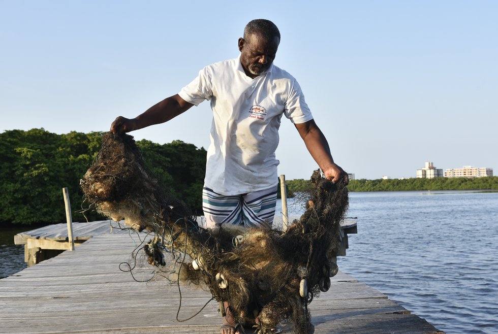 No manguezal da Coroa do Meio, em Aracaju, Sergipe, um pescador recolhe a rede encharcada pelo óleo.