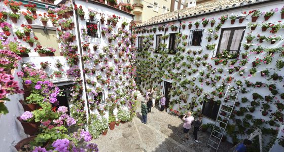 Fotos de los patios de cordoba 2013 40 Fotos de los patios de cordoba 2013 19