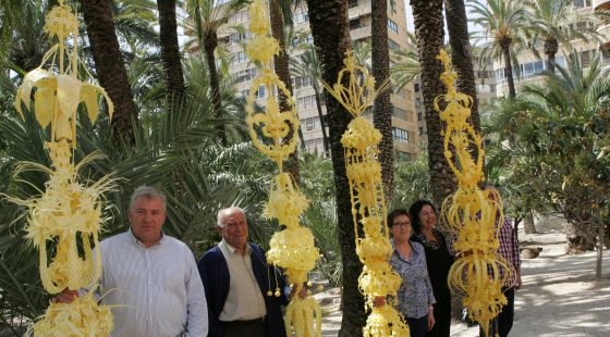 Elche envía al Papa las tradicionales palmeras del Domingo