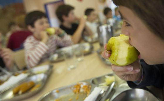 Terrassa suspende la adjudicación a Serhs de los comedores escolares ... Terrassa suspende la adjudicación a Serhs de los comedores escolares ...