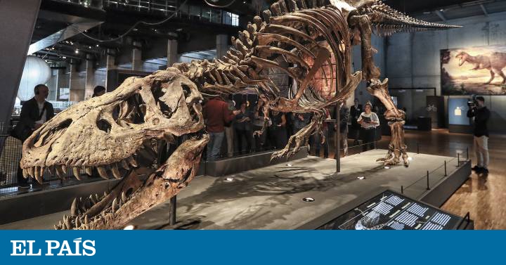 Cinco Propuestas Monograficas Para La Noche De Los Museos Cataluna El Pais