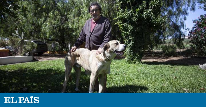 El hombre que tomó un trasatlántico, secuestró un avión y atracó un banco sin pegar un tiro